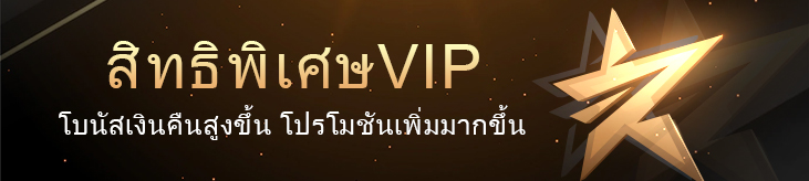 สิทธิพิเศษ VIP